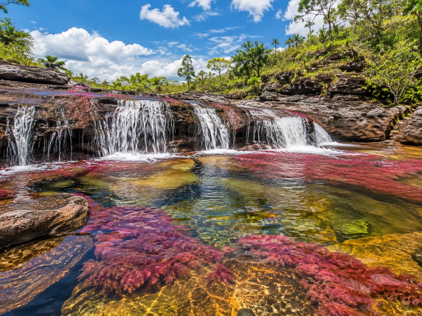 Día 2 — Caño Cristales Rio de los Dioses