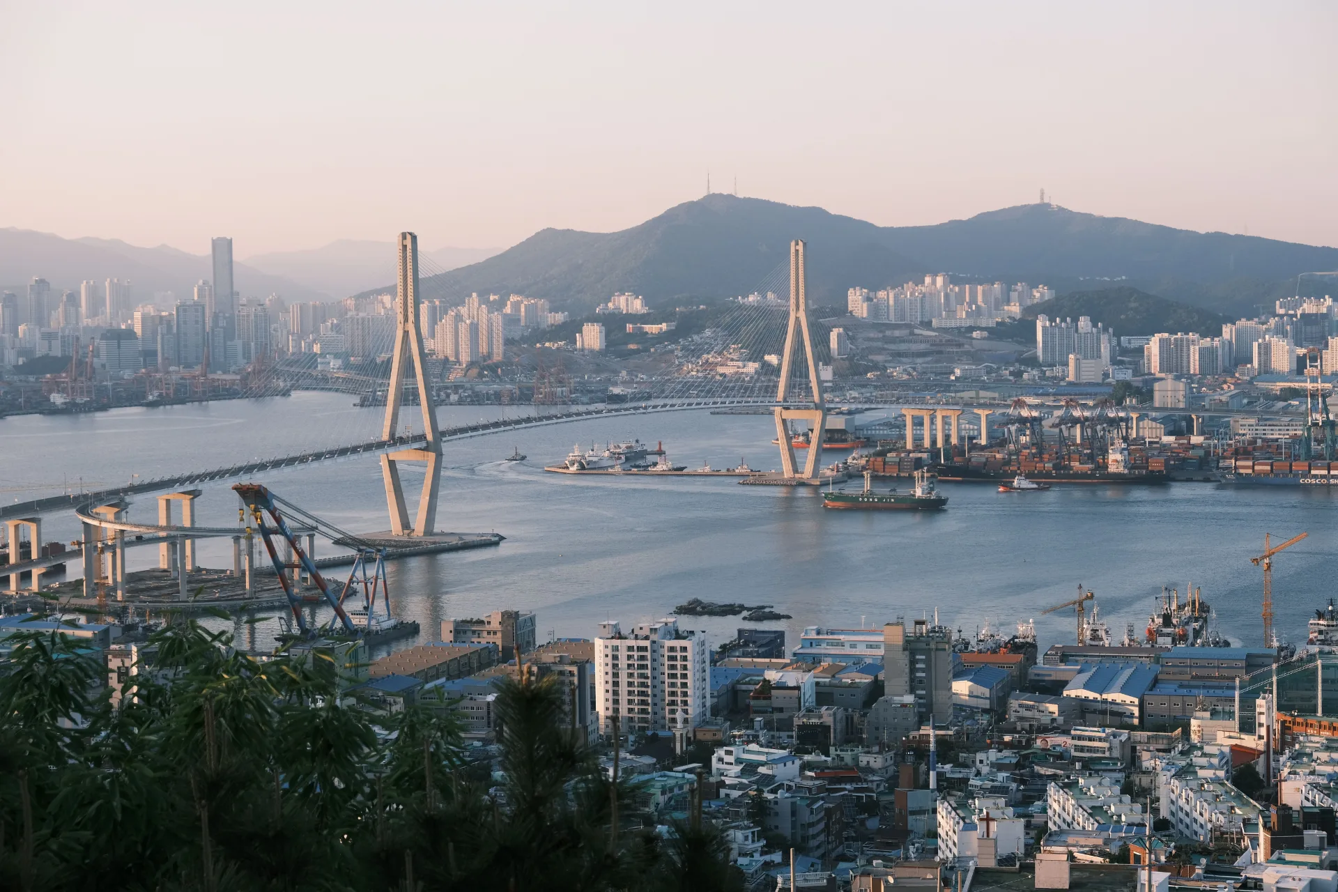 Día 6 — Busan