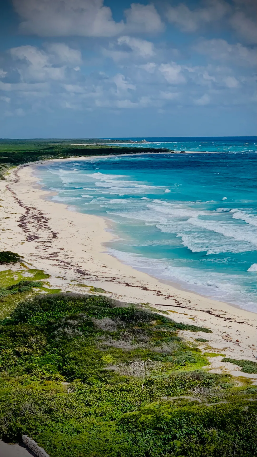 Día 8 — Cozumel, México