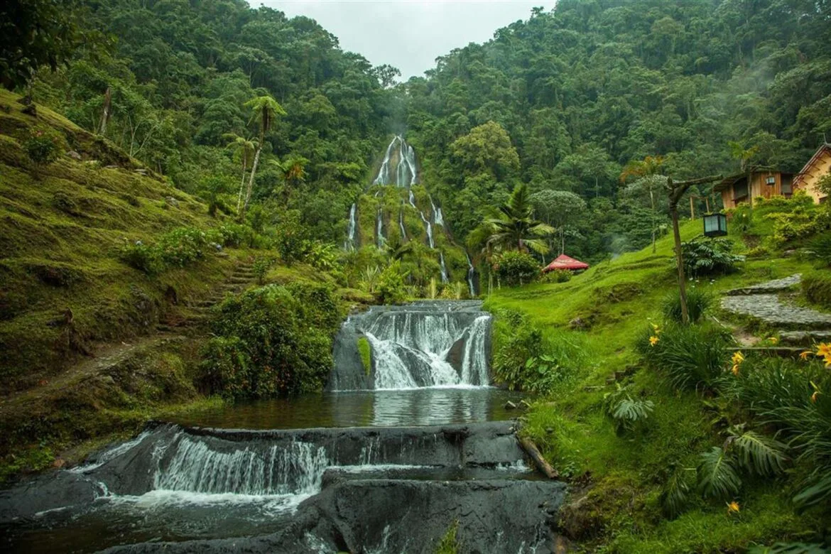 Día 1 — Termales y Bioparque Ukumarí