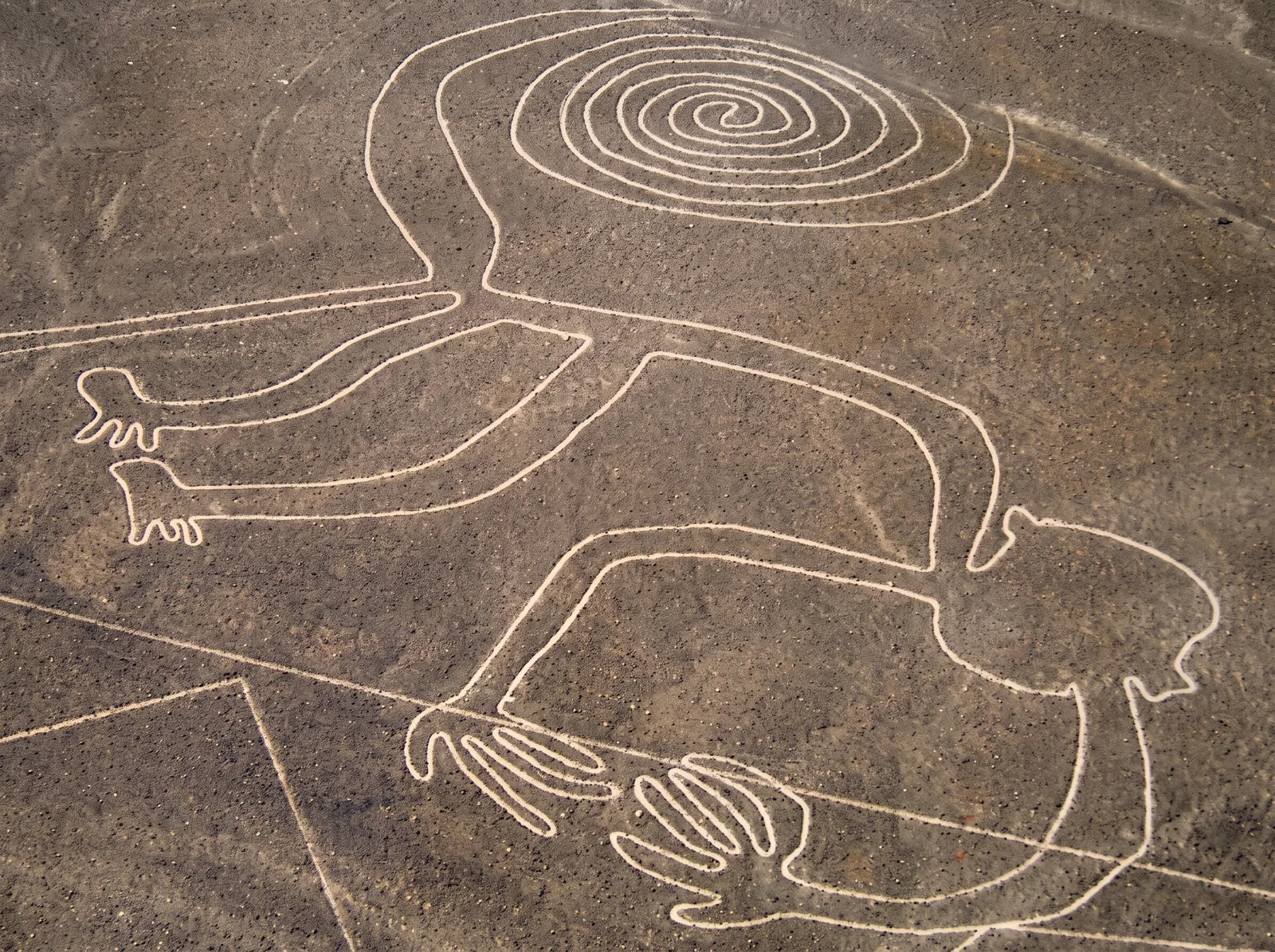Día 11 — Ica - Nazca - Lima