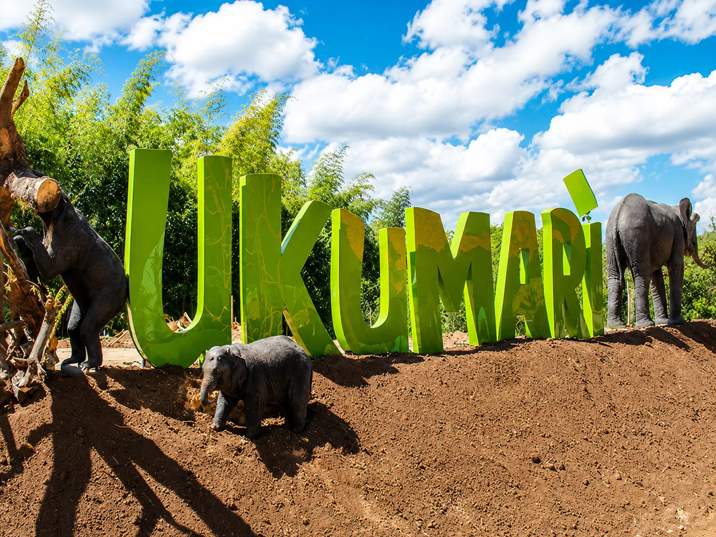 Día 3 — Ukumarí y rumbo a Medellín