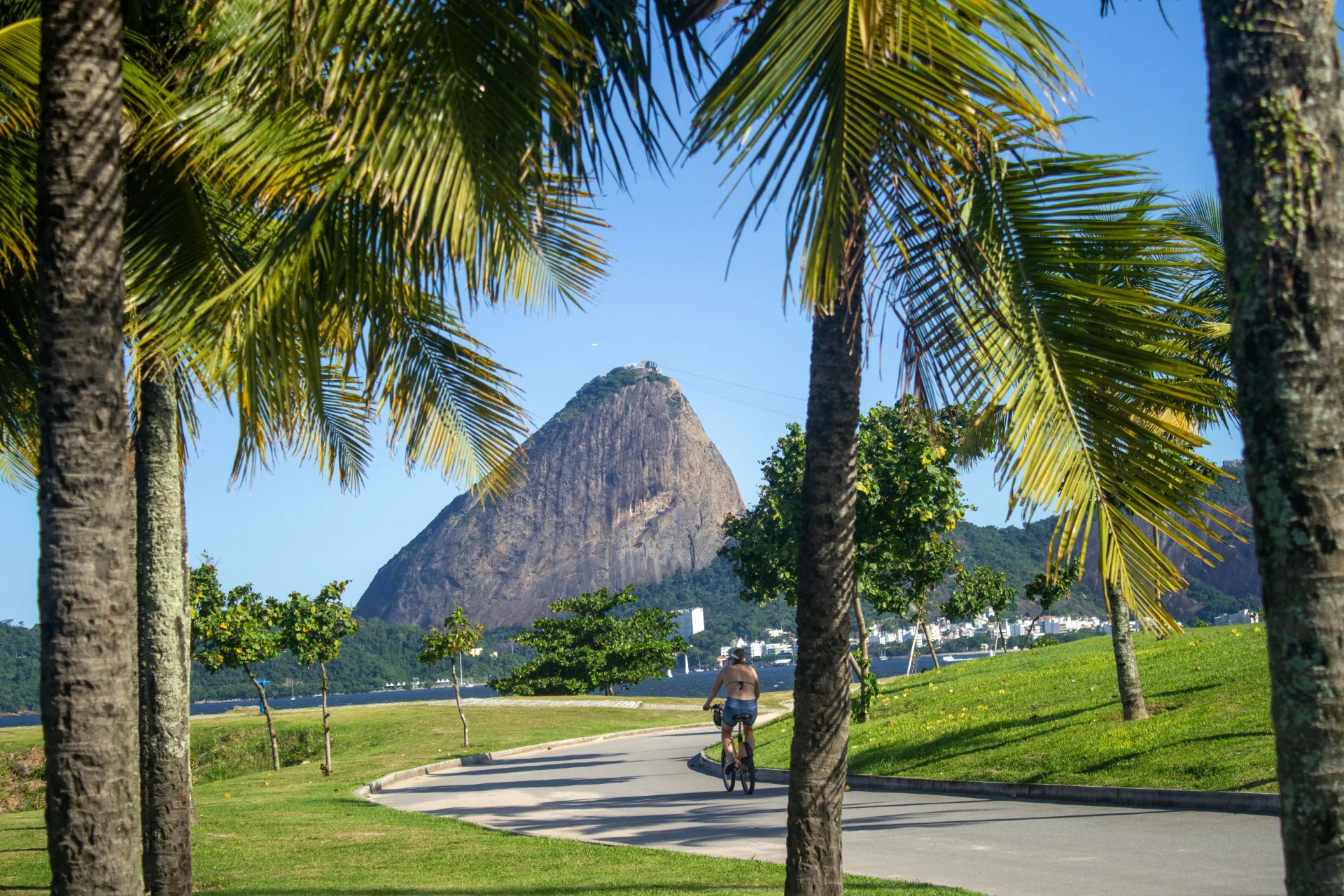 Día 3 — Rio de Janeiro