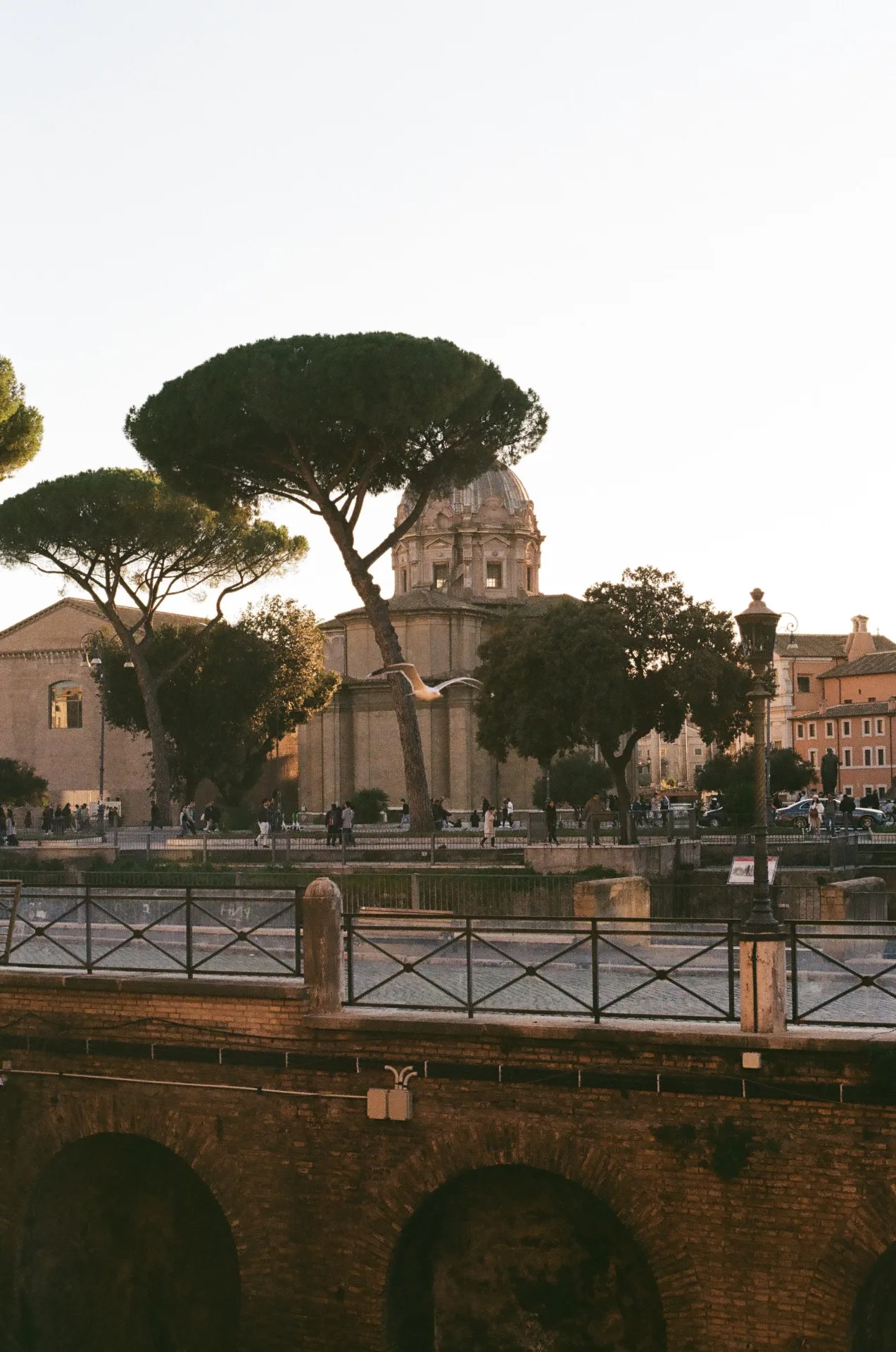 Día 15 — Roma