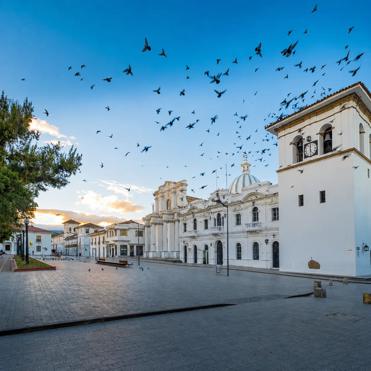 Sur de Colombia & Encanto Caleño